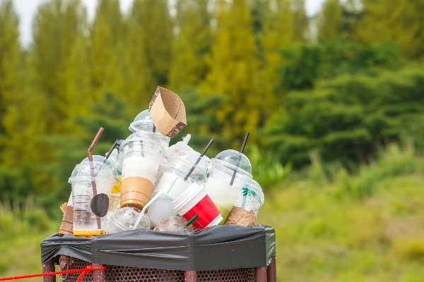 Professional junk removal service Professional junk removal service